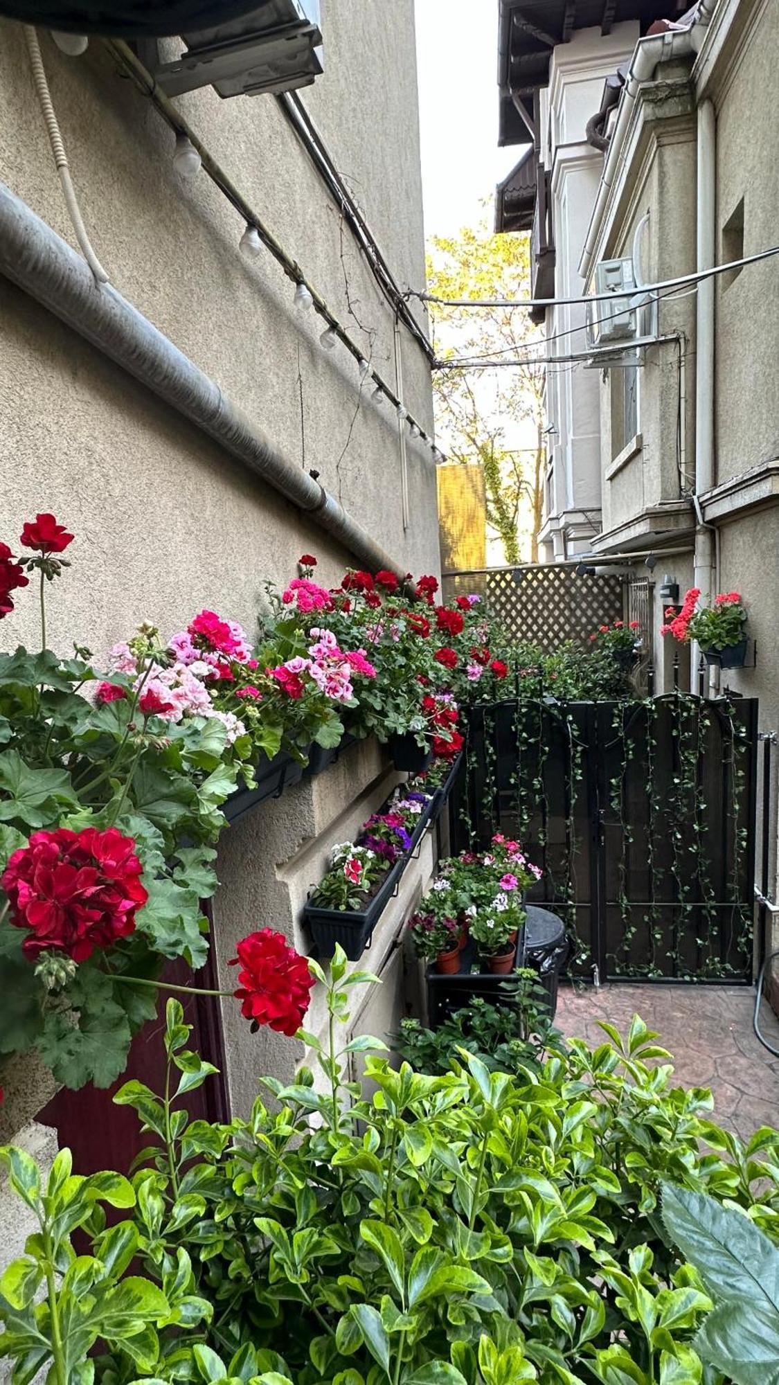 Casa De Povesti - Calea Victoriei Apartamento Bucareste Exterior foto